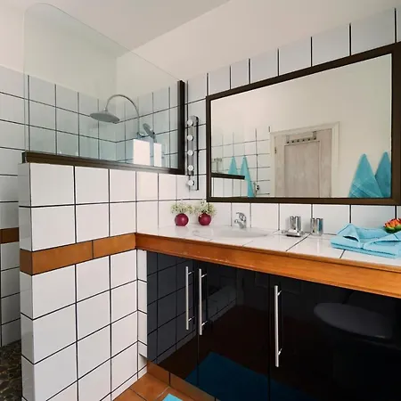 Stemann * 기아데이소라