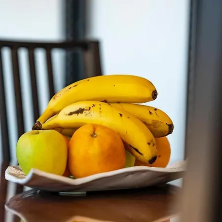 Stemann 기아데이소라