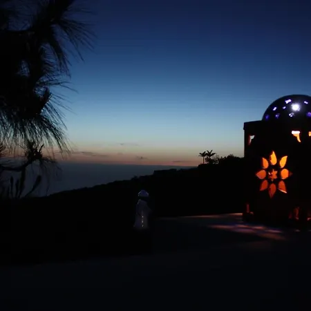 Stemann * 기아데이소라